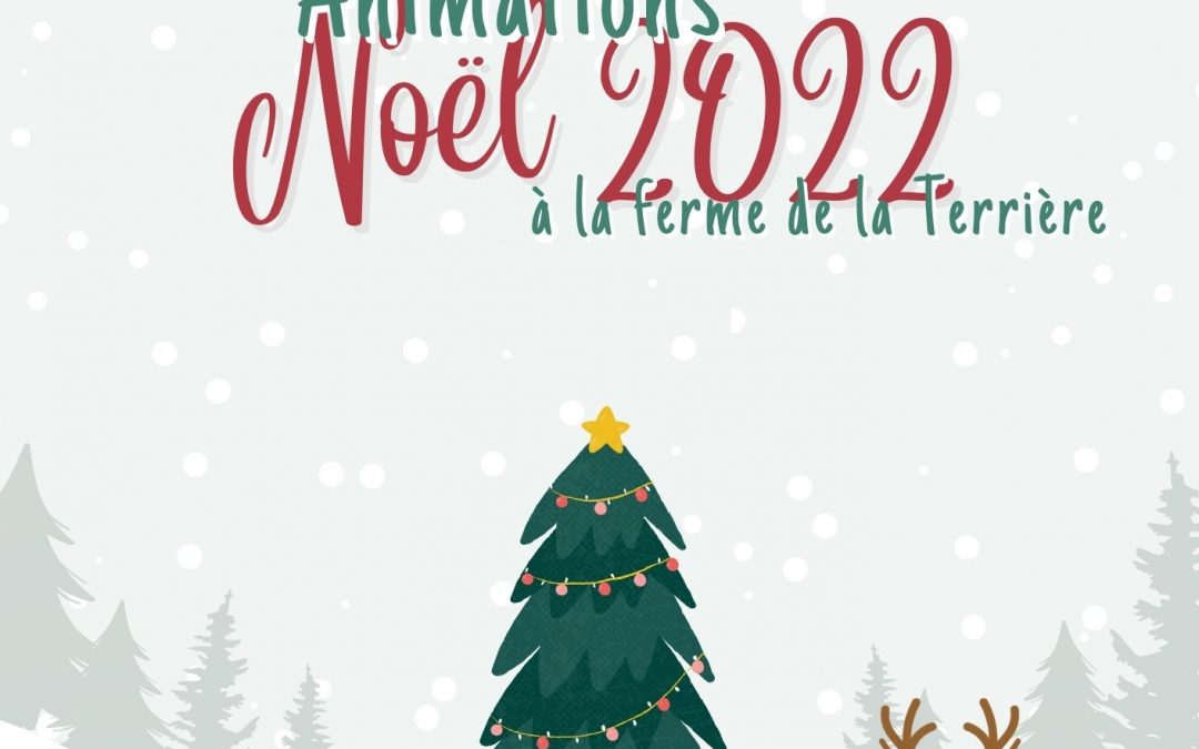 Programme des animations de Noël